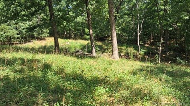 Discover more than 18 acres of beautiful wooded property at the - photo 16