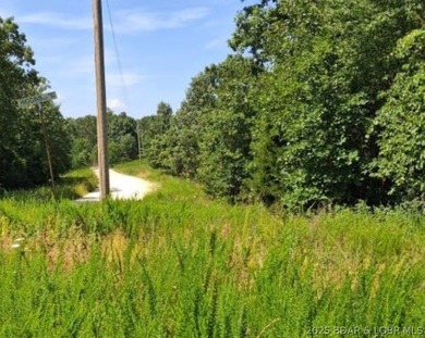 Discover more than 18 acres of beautiful wooded property at the - photo 17