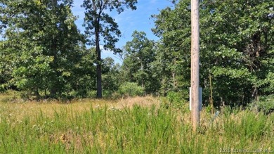 Discover more than 18 acres of beautiful wooded property at the - photo 18