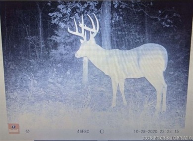 Discover more than 18 acres of beautiful wooded property at the - photo 23