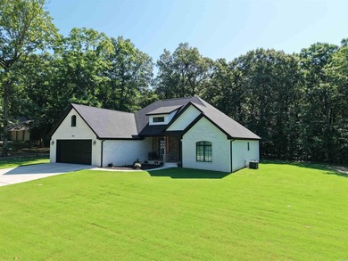 Like-new custom home in one of Pocahontas' most desirable - photo 37