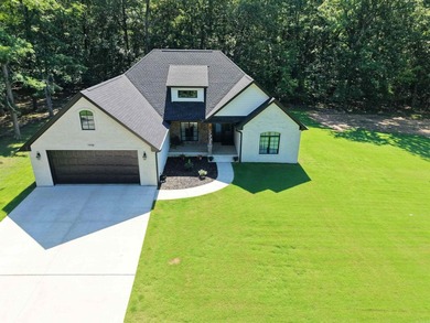 Like-new custom home in one of Pocahontas' most desirable - photo 38