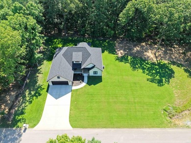 Like-new custom home in one of Pocahontas' most desirable - photo 40