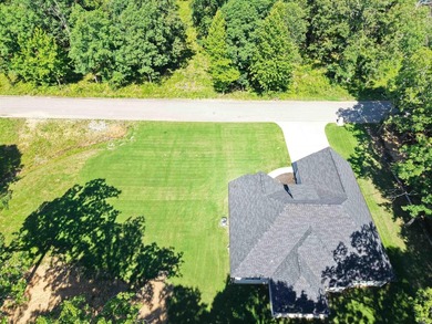 Like-new custom home in one of Pocahontas' most desirable - photo 41