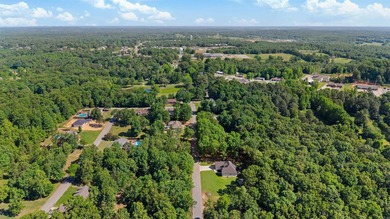 Like-new custom home in one of Pocahontas' most desirable - photo 42