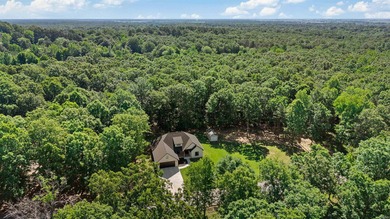 Like-new custom home in one of Pocahontas' most desirable - photo 43