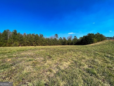 (private lake, pond, coastal) Commercial For Sale in Cornelia Georgia