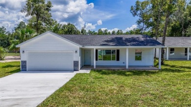 Lake Home For Sale in Silver Springs, Florida