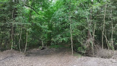 Discover an exceptional investment opportunity in one of - photo 11