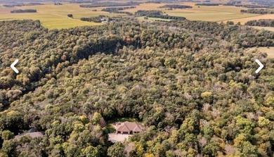 Enjoy this beautiful ranch style home nestled on 34.46 acres - photo 8