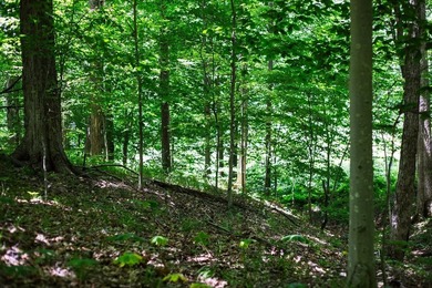 Build your dream getaway or forever home on this beautiful 2.3 - photo 13