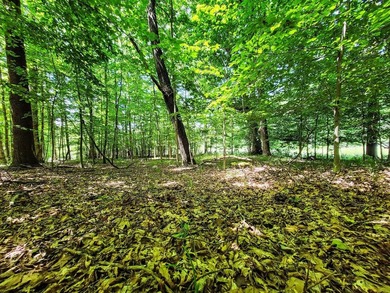 Build your dream getaway or forever home on this beautiful 2.3 - photo 14