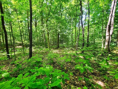 Build your dream getaway or forever home on this beautiful 2.3 - photo 17