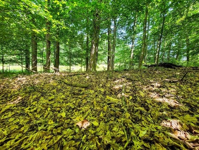 Build your dream getaway or forever home on this beautiful 2.3 - photo 19