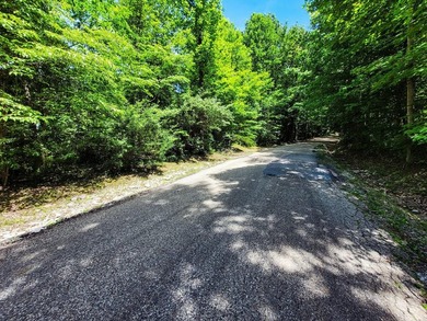 Build your dream getaway or forever home on this beautiful 2.3 - photo 23