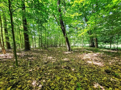 Build your dream getaway or forever home on this beautiful 2.3 - photo 25