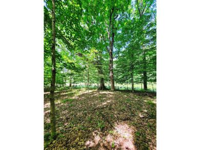 Build your dream getaway or forever home on this beautiful 2.3 - photo 26