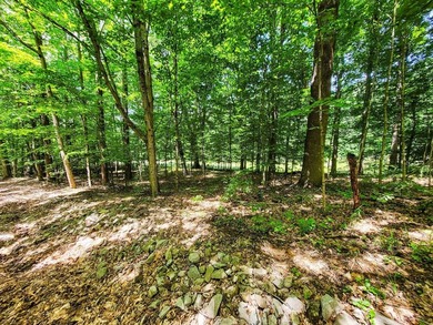 Build your dream getaway or forever home on this beautiful 2.3 - photo 27