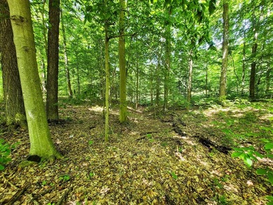 Build your dream getaway or forever home on this beautiful 2.3 - photo 28