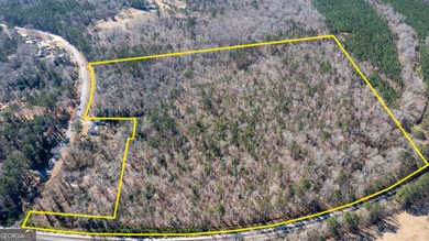 (private lake, pond, coastal) Acreage For Sale in Warm Springs Georgia