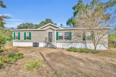 Lake Home For Sale in Ocklawaha, Florida