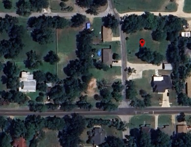 Lake Lot For Sale in Pilot Point, Texas