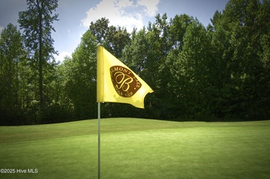 Only 27 lots remain in Section 3! This .45 acre LAKE FRONT - photo 3