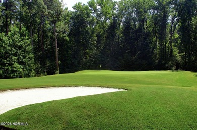 Only 27 lots remain in Section 3! This .45 acre LAKE FRONT - photo 7