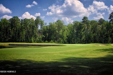 Only 27 lots remain in Section 3! This .45 acre LAKE FRONT - photo 8