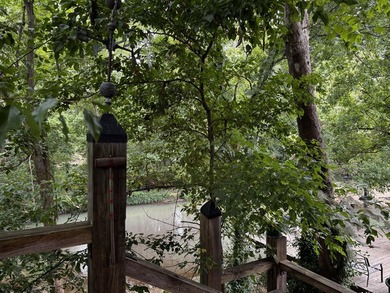One-of-a-Kind Riverfront Retreat in ThomasvilleDiscover a truly - photo 11