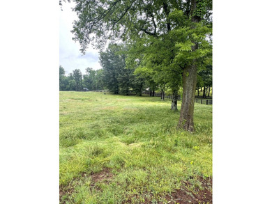 Lot 4 in Lingerlost Landing. This awesome 1.91+/- acre tract - photo 16