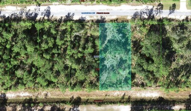 Build your dream home on this half-acre lot in the lake and golf - photo 2