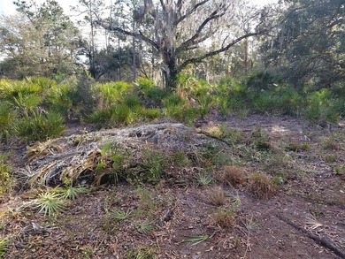 Build your dream home on this half-acre lot in the lake and golf - photo 4