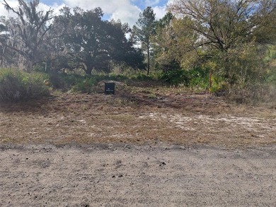 Build your dream home on this half-acre lot in the lake and golf - photo 5