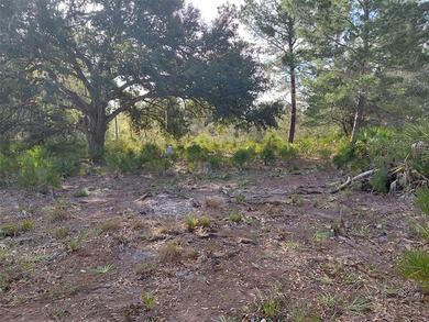 Build your dream home on this half-acre lot in the lake and golf - photo 6