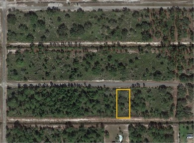Build your dream home on this half-acre lot in the lake and golf - photo 9