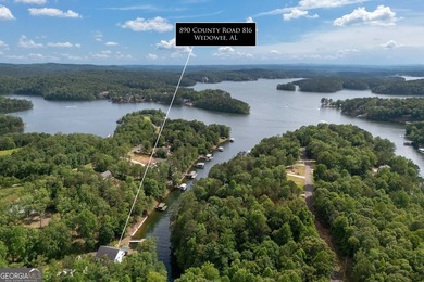 Experience the best of Lake Wedowee living with this stunning - photo 47