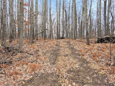 Lake Acreage For Sale in Springbrook, Wisconsin