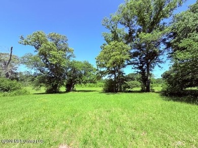 20.63 Acres located on Union Creek Road in Magnolia, MS with - photo 13