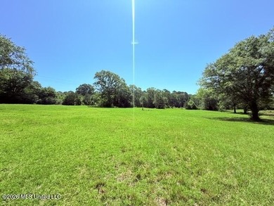 20.63 Acres located on Union Creek Road in Magnolia, MS with - photo 14