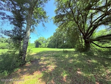 20.63 Acres located on Union Creek Road in Magnolia, MS with - photo 15