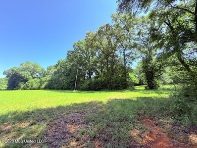 20.63 Acres located on Union Creek Road in Magnolia, MS with - photo 16