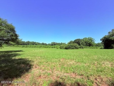 20.63 Acres located on Union Creek Road in Magnolia, MS with - photo 17