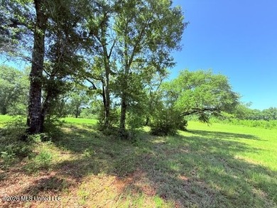 20.63 Acres located on Union Creek Road in Magnolia, MS with - photo 18