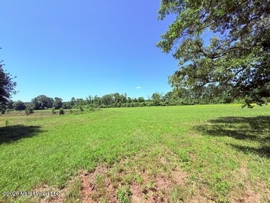 20.63 Acres located on Union Creek Road in Magnolia, MS with - photo 20