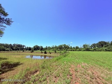20.63 Acres located on Union Creek Road in Magnolia, MS with - photo 21