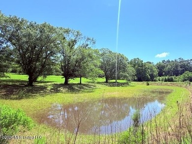 20.63 Acres located on Union Creek Road in Magnolia, MS with - photo 22