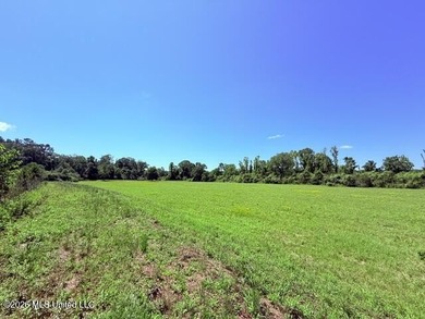 20.63 Acres located on Union Creek Road in Magnolia, MS with - photo 24