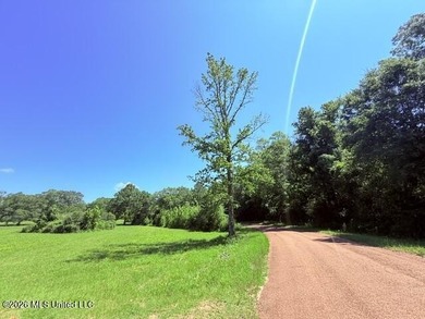 20.63 Acres located on Union Creek Road in Magnolia, MS with - photo 26