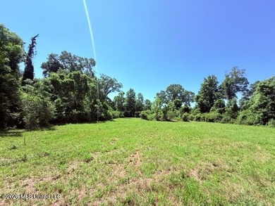 20.63 Acres located on Union Creek Road in Magnolia, MS with - photo 27